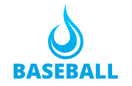 Professional Baseball Equipment Store