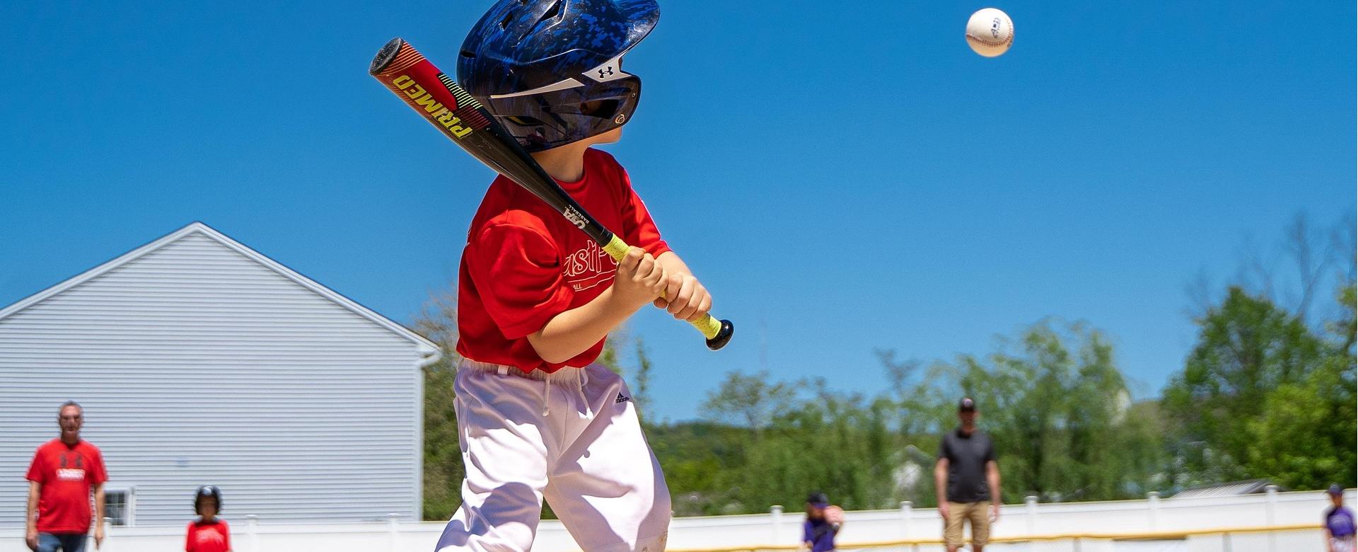 Professional Baseball Equipment Store -Professional Baseball Equipment Store baseball 7985433 1920